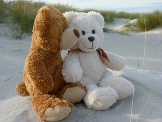 Teddys am Strand
