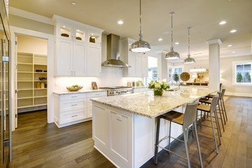 White kitchen design in new luxurious home - obrazy, fototapety, plakaty
