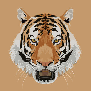 Tiger head on brown background vector illustration.