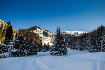 Fototapeta na wymiar Mountain winter landscape in Kazakhstan near Almaty city