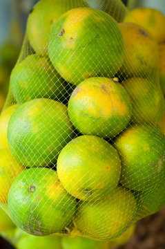 orange fruits in the market. orange fruit agriculture. orange fruit crops