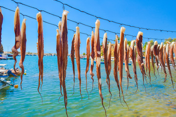 Octopus hanging to dry
