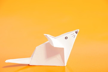 Paper origami mouse isolated on the colorful background