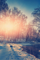 Fototapeta premium wonderful winter scene. Birch on the river in winter. Backlight, sunset, fascinating, picturesque landscape. color in nature.