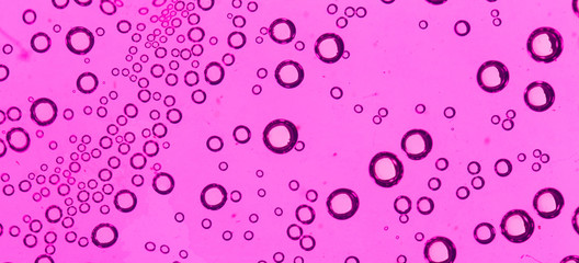 purple bubbles in water close-up abstract background