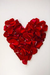 red heart made of rose petals on white background