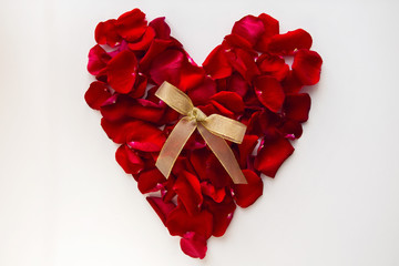 red heart made of rose petals on white background