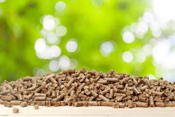 Wood pellets on a green background. Biofuels.