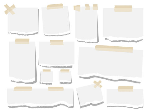 Blank paper torn page notes. Office notepaper sheets isolated on white background