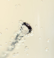 a piece of iron in acid and there is a reaction with liquid macro
