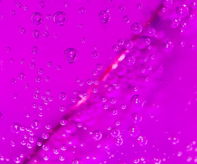 purple bubbles in water close-up abstract background