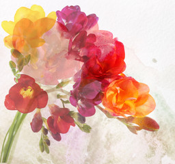 Beautiful flowers on watercolor background