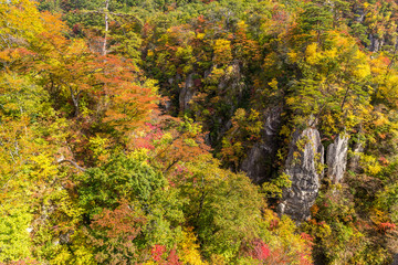 Naruko Gorge in autumn