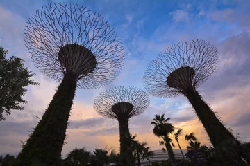 Cercles muraux Helix Bridge Gardens by the Bay that is a nature park spanning 101 hectares of reclaimed land 