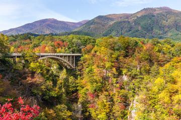 Bridge passing though Naruko Gorge in autumn