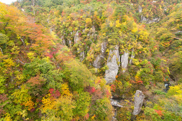 Obraz premium Naruko canyon in Japan at autumn