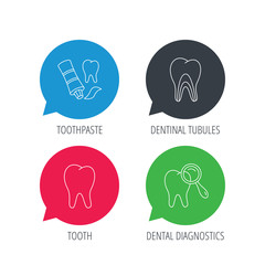 Colored speech bubbles. Tooth, dental diagnostics and toothpaste icons. Dentinal tubules linear sign. Flat web buttons with linear icons. Vector