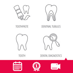 Achievement and video cam signs. Tooth, dental diagnostics and toothpaste icons. Dentinal tubules linear sign. Calendar icon. Vector