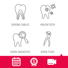 Achievement and video cam signs. Healthy teeth, dentinal tubules and pliers icons. Dental diagnostics linear sign. Calendar icon. Vector