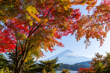 Lake Kawaguchi and Mount Fuji in Autumn season
