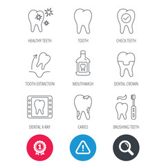 Achievement and search magnifier signs. Tooth, dental crown and mouthwash icons. Caries, tooth extraction and hygiene linear signs. Brushing teeth flat line icon. Hazard attention icon. Vector
