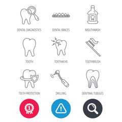 Achievement and search magnifier signs. Tooth, dental braces and mouthwash icons. Diagnostics, toothbrush and toothache linear signs. Dentinal tubules, protection flat line icons. Vector
