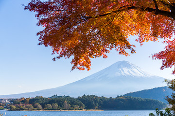 Fuji and maple tree in Lake Kawaguchi
