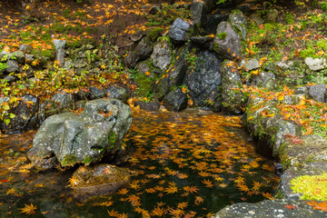 Traditional Japanese park at autumn