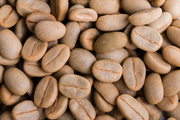 Un-roast arabica raw coffee beans
