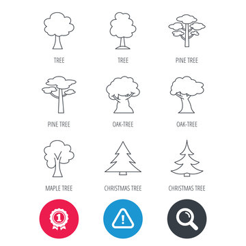 Achievement and search magnifier signs. Pine tree, maple and oak icons. Christmas trees linear signs. Forest trees flat line icons. Hazard attention icon. Vector