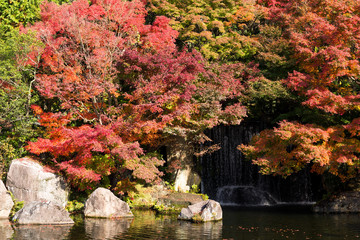 Obraz premium Japanese Kokoen Garden