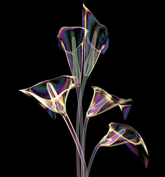 color glass flower isolated on black , the lilly