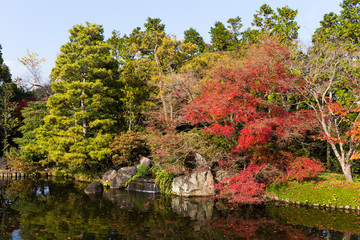 Autumn Japanese Traditional Garden