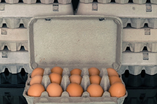 Egg box full of fresh organic chicken eggs