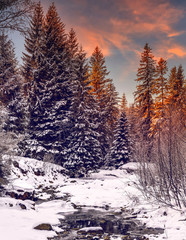 Fototapeta na wymiar Wonderful winter landscape. snow covered pine tree over the mountain river under sunlight. wonderful, amazing view. christmas holiday concept. picturesque amazing scene. instagram filter. 