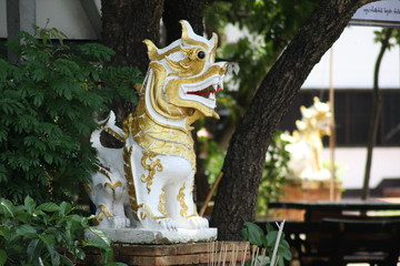 Singha