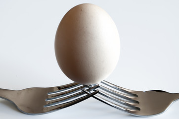 close up of a single egg balanced on two forks for concept idea of teamwork