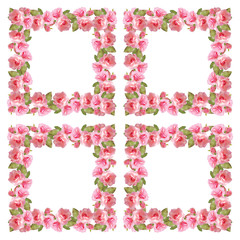 Beautiful floral background with pink roses. Isolated 