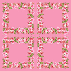 Beautiful floral background with pink roses. Isolated 