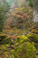 Akame 48 waterfalls