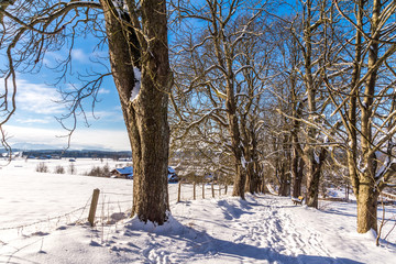Blauer Winterhimmel über dem verschneiten Land