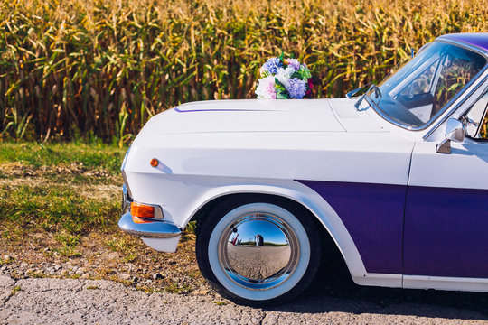 Retro car in white and violet colors. Outdoor picture