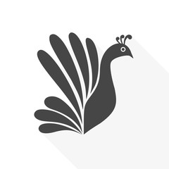 Peacock - vector Illustration icon with long shadow