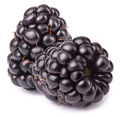 Group of two ripe blackberries isolated on white background with clipping path