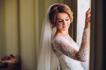 gorgeous happy luxury stylish brunette bride near a window on the background of vintage room