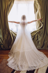 Fototapeta na wymiar gorgeous happy luxury stylish brunette bride near a window on the background of vintage room