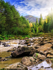 autumn forest landscape. bridge over the river in the morning a colorful forest. fairytale view in the forest. mountain on the background