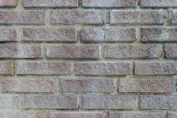Brick texture