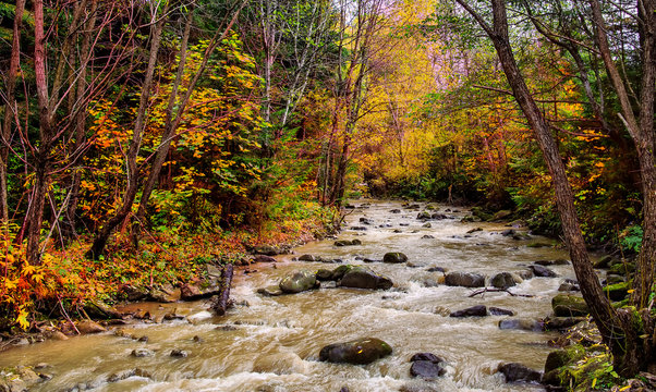 autumn  landscape. mountain river in the forest. artistic creative image