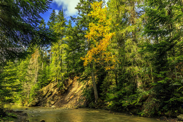 Fototapeta na wymiar autumn amazing landscape. colorful trees over the mountain river